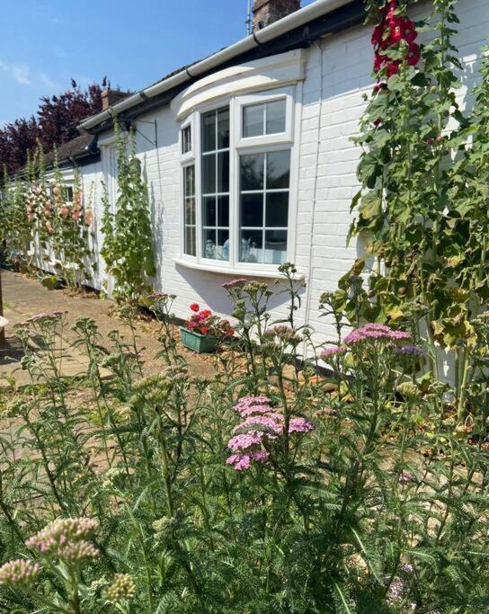 Field Cottage Whittlesey Екстер'єр фото