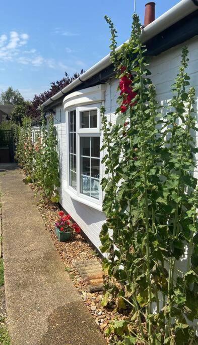 Field Cottage Whittlesey Екстер'єр фото